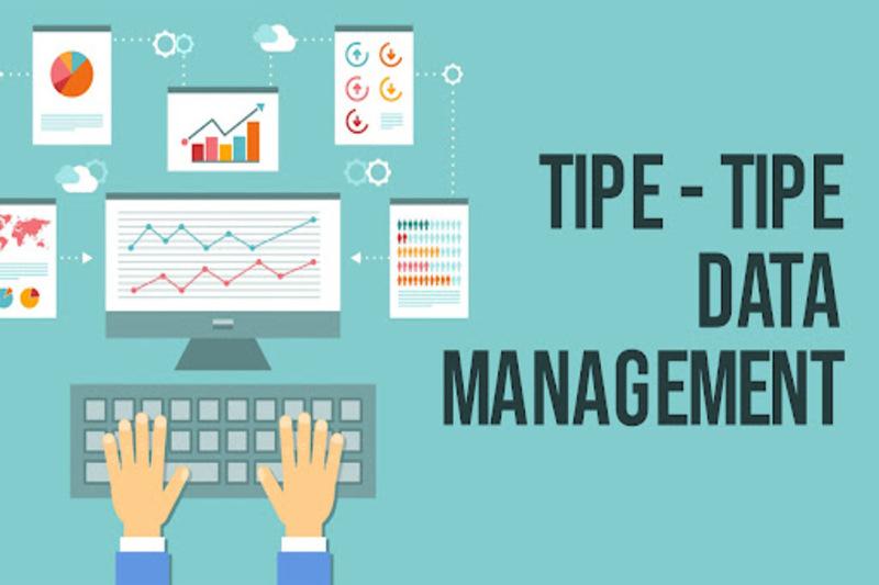 Tipe Data Management