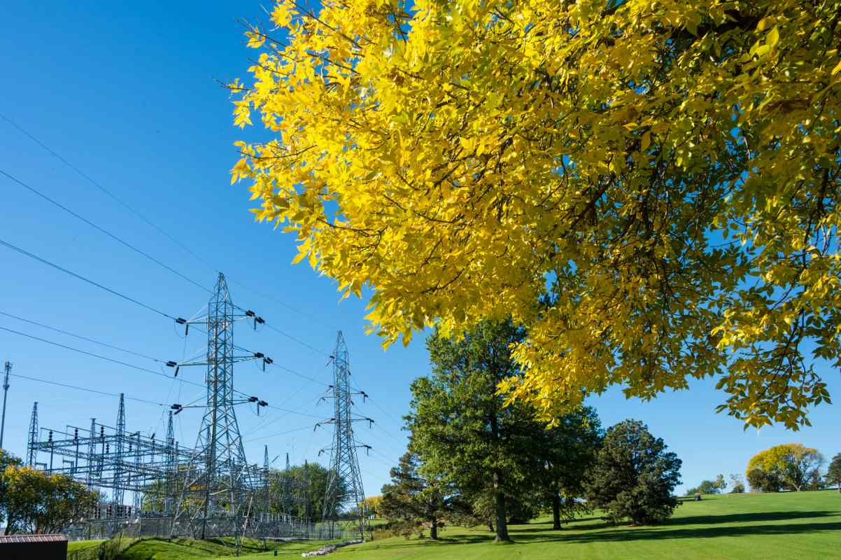 Solusi Sistem AI dalam Manajemen Energi PLN