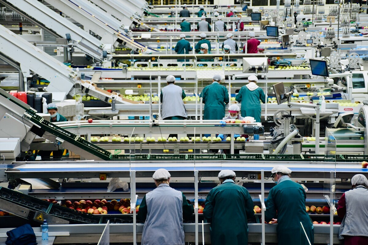 AI Document Automation Solusi Modern untuk Quality Control Pabrik