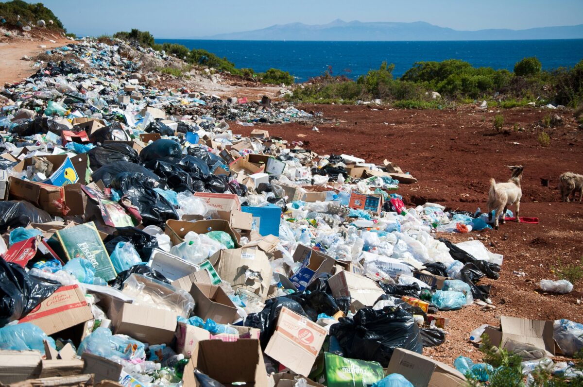 AI Demand Forecasting for FMCG Waste Reduction